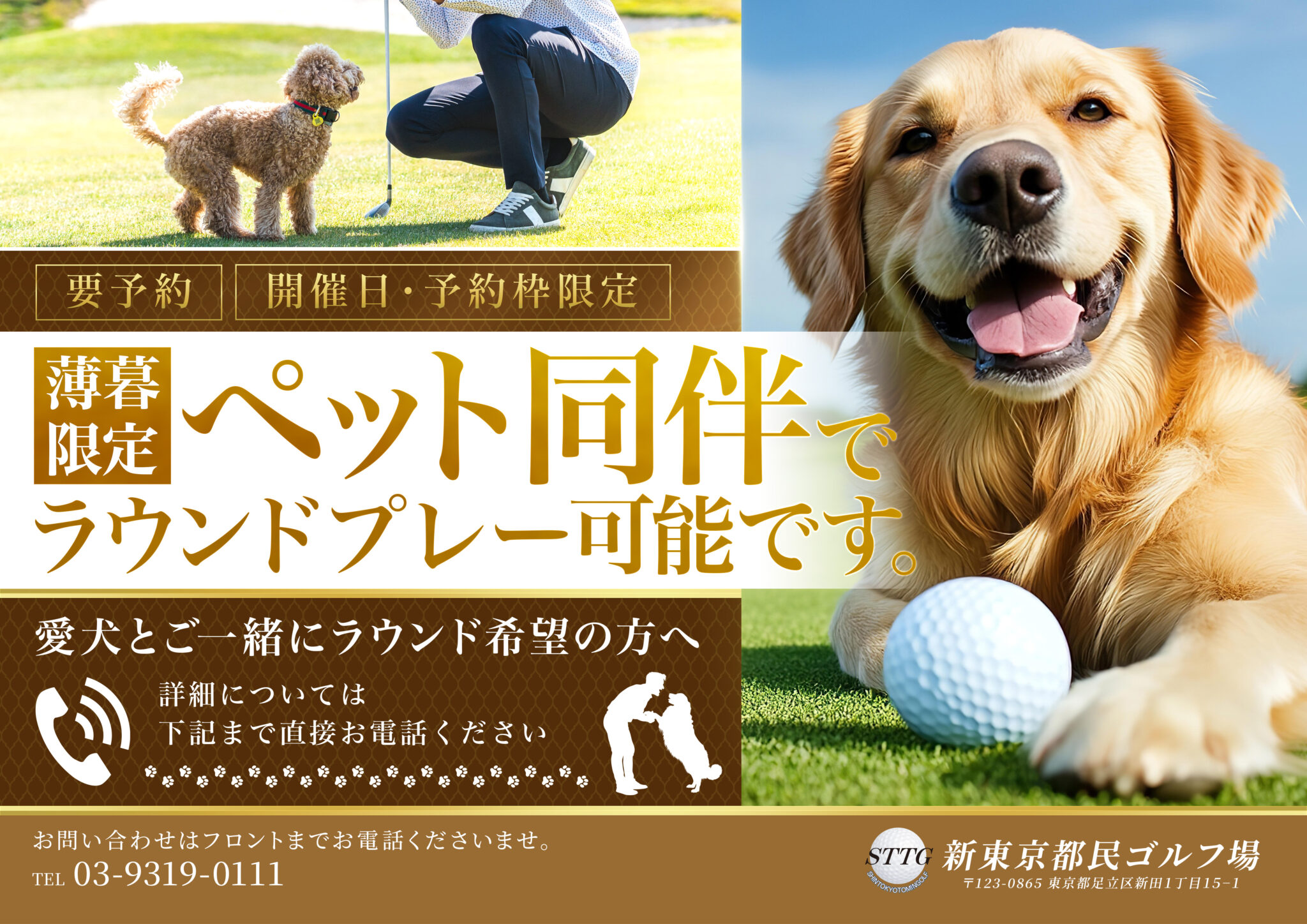 Sttg イベント情報 - 大会・レッスン・特別企画 - STTG 新東京都民ゴルフ場